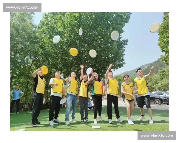 冰壶比赛队名创意大比拼 选手们如何巧妙命名展现团队精神与竞技风采