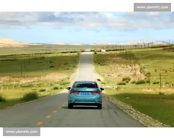 卡罗拉比赛激烈角逐全新赛道挑战车手技能与速度极限