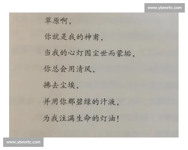 在舞台上倾情朗诵感悟文字力量与心灵共鸣的经历体会