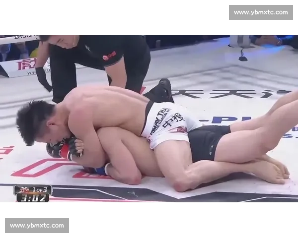 杨建平2017年度比赛精彩回顾与关键瞬间分析